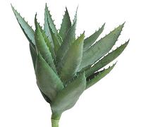 Li Hua Cat Plantes succulentes artificielles Vertes Assorties décoratives 1 pièce Grand Faux Cactus Faux Aloe Plantes (Vert)