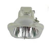LIALTAOYA Ampoule de remplacement POA-LMP117 for SANYO PDG-DWT50
