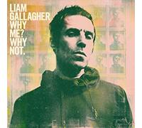 Liam Gallagher - Why Me Why Not. - Vinyl Record VINYL - 93 - F23z