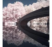 Liam Noble - The Long Game [Import]