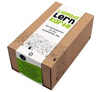 Liamba Lot de 500 fiches d'apprentissage Format A8 7,4 x 5,2 cm 190 g lignées FSC Boîte à fiches en carton recyclé Fabriqué en Allemagne