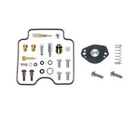 LIANGYIMEI Kit Réparation Carburateur pour Suzuki DRZ400E DRZ400SM DRZ400S 2000-2017(C)
