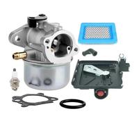 LIANGYIMEI pour Briggs & Stratton 498170 799872 694202 497586 498254 790821 799868 Carburateur