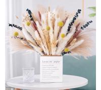 LiangYuanZen 100pcs Pampas Herbe Fleurs séchées décoration, Fleurs séchées moelleuses, Bouquet de Fleurs séchées pour la Table de Mariage Salon Vase bohème décoration de la Maison (Super Luxe)