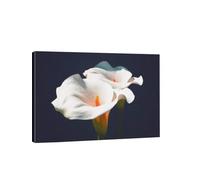 lianyibo 1 toile imprimée tableau représentant un duo de callas en gros plan plantes botaniques art moderne portrait contemporain décoration pour salon (20 x 30 cm sans cadre)