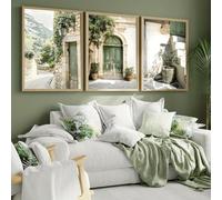 lianyibo Ensemble de 3 tableaux bohèmes thème floral et botanique avec olivier style minimaliste décoration du salon et de la chambre (60 x 80 cm x 3 / sans cadre)