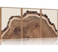 lianyibo Nature Tree Ring Canvas Wall Art Set Of 3,Large Wood Tree Spiral Art Prints, Abstract Wall Painting for Living Room (60x90cmx3/Inner frame)