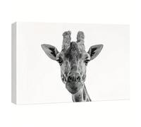 lianyibo pièce Portrait de girafe Animaux Faune Réalisme Éléments décoratifs Relax, Calme Gris Cool Noir et Blanc Pour Salon 60x90cm Sans cadre
