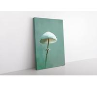 lianyibo Tableau minimaliste sur toile représentant des champignons, affiche imprimée de champignons aux tons verts oniriques, décoration murale nature et mycologie (60 x 90 cm/cadre intérieur)