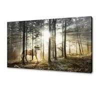 lianyibo Tableau mural moderne représentant un cheval mystique dans la forêt au coucher du soleil imprimé sur toile (20 x 30 cm avec cadre intérieur) idéal décoration intérieure et le salon