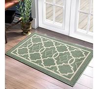 LIAOXIONG Tapis de Porte, Tapis d'entrée antidérapants intérieurs et extérieurs, Tapis de Sol Doux lavables en Machine, Tapis de Porte Avant Super absorbants (Vert, 50 x 80 cm)