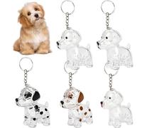 LIAVOP 5 porte-clés pour poils d'animaux, porte-clés avec capsule de rangement pour poils de chien Un souvenir DIY pour les amoureux des animaux, parfait pour Noël ou les anniversaires