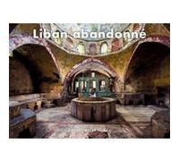 Liban abandonné James Kerwin (Auteur), BENEDICTE DAZY (Traduction), Emmanuelle Willard Toulemonde (Conception couverture ou illustration)