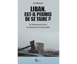 Liban, est-il permis de se taire ? : De l'effondrement forcé au redressement responsable