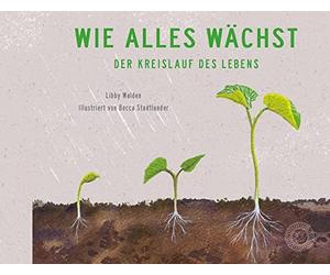 Libby Walden Becca Stadtlander Christin Wie alles wächst: Der Kreislauf (Relié)