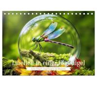 Libellen in einer Glaskugel (Tischkalender 2026 DIN A5 quer), CALVENDO Monatskalender: Eine zarte Libelle, eingefangen in einer glasklaren Sphäre - ... der Leichtigkeit, bewahrt für die Ewigkeit.