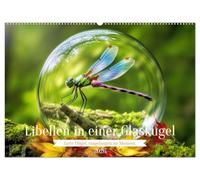 Libellen in einer Glaskugel (Wandkalender 2026 DIN A2 quer), CALVENDO Monatskalender: Eine zarte Libelle, eingefangen in einer glasklaren Sphäre - ein ... der Leichtigkeit, bewahrt für die Ewigkeit.