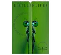 LibellenLiebe - Schau mir in die Augen, Kleines! (Wandkalender 2026 DIN A3 hoch), CALVENDO Monatskalender: Wundervolle Augenblicke mit Libellen - ... aus dem Reich dieser bezaubernden Insekten.