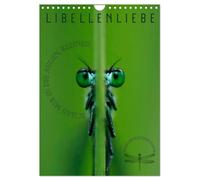 LibellenLiebe - Schau mir in die Augen, Kleines! (Wandkalender 2026 DIN A4 hoch), CALVENDO Monatskalender: Wundervolle Augenblicke mit Libellen - ... aus dem Reich dieser bezaubernden Insekten.