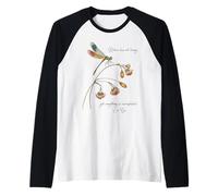 Libellule avec Citation célèbre légende Chinoise Ancienne Lao Tzu Manche Raglan