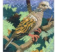 Libérez Votre Créativité avec Notre Kit de Mosaïque pour Adultes, Carrée de 20cm Faucon