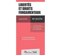 Libertés et droits fondamentaux: Les points clés de la mise en oeuvre de la protection des libertés et droits fondamentaux (2020)