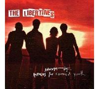 LIBERTINES - Anthems for Doomed Youth