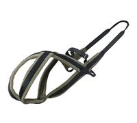 LIbgiubhy Harnais pour chien réglable avec clip avant pour la nuit
