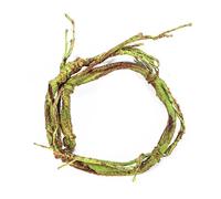 LIbgiubhy Vigne artificielle pour reptiles - Branche d'escalade résistante à l'eau pour terrariums - Accessoires pour cage de reptiles