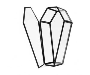 libproqia Petite boîte à bijoux en verre noir en forme de cercueil terrarium gothique Halloween rangement vintage boîte à bijoux en verre vampire organisateur souvenir