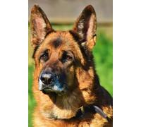Libreta pastor alemán para amantes de los perros: Cuaderno con líneas para diario personal, notas creativas y journaling