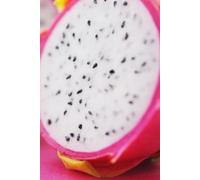 Libreta pitahaya blanca abierta y fruta tropical: Cuaderno con líneas para diario personal, notas creativas, journaling y regalo exótico