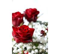 Libreta ramo de rosas rojas y flores blancas: Cuaderno con líneas para diario personal, notas creativas, journaling y regalo floral