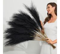 LIBRNTY 20bâtons Fleurs séchées,Noir Fleur Artificielle Deco,55cm Fleur Pampa,Convient pour Table de Mariage, décoration bohème,Salon,Chambre à Coucher