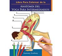 Libro Para Colorear De La Anatomía Del Yoga Para Intermediarios