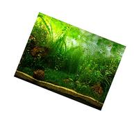LICAEVEY Poster D'aquarium en Papier Décoratif Adhésif en PVC de Style Herbe d'eau, Fond Durable Qui Ne Se Décolore Pas, Plusieurs Tailles, Idéal pour la Décoration D'aquarium (PVC 9)