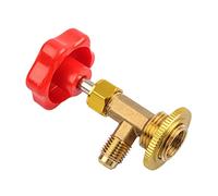 LICAEVEY Valve de Perçage pour Cartouche de Réfrigérant R134A, Sortie | Conception de vanne unidirectionnelle anti-reflux, Dé à coudre en métal pour une utilisation facile et économique, Pour