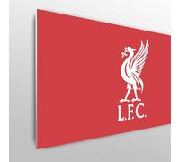 Licensed Décor Tête de lit réglable Liverpool FC 100 cm (l) x 75 cm (H) - Oiseau de Foie en Blanc sur la Marque Rouge