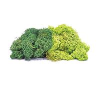 Hornby – Lichen – Grand mélange vert