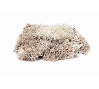Skale Scenics Lichen - Stone Grey - Humbrol G