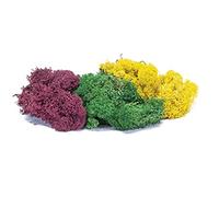 Hornby Lichen – Mélange automne gros volume