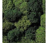 Noch Outil pour modélisme ferroviaire 08621 – Mousse verte assortie 75 g, petit