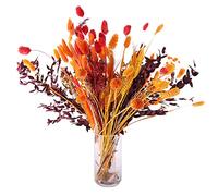 LICHENGTAI 100 Herbe de la Pampa, Naturelles Séchée Herbe De Pampa Naturel Séché Herbe De Pampa, Queue de Lapin Fleur Séchée Naturelles Plante Artificielle Lapin Florales Arrangement Décor de Boho