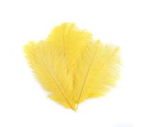 LICHENGTAI 10PCS Plumes Décoration, 15-20CM Plume Costume Accessoires pour Plumes Eventail Suspension Ornements Plumes Bijoux muraux Bouquet Mariage Fête Décoration