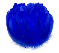 LICHENGTAI 200 Pièces Coloré Plumes De Nature, Naturel Artisanat Plumes d'oie pour Capturateurs De Rêve DIY Craft Boucles d'oreilles Artisanat Accueil Fête Mariage Baby Shower Décorations 6cm-12cm