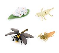 LICHENGTAI Cycle De Vie des Insectes pour Enfants, Modèle de Cycle de Croissance des Animaux Ensemble de Modèles de Cycle de Croissance des Sciences Éducation Apprentissage Modèle Denseignement Jouet