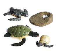 LICHENGTAI Étapes du Cycle de Vie Modèle Animal de Simulation Cycle Mini de Croissance de Papillon de Tortue de Grenouille de Fourmi de Coq Animal, Jouets éducatifs pour Enfants