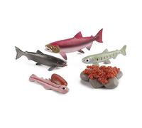 LICHENGTAI Jouet De Figurines d'animaux De Cycle De Vie, Modèles De Cycle De Vie Animal Éducatives Évolution Jouets Modèle De Stade De Croissance modèle de Cycle de Croissance des Animaux pour Enfant