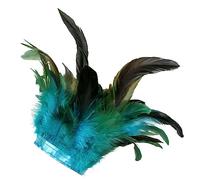 LICHENGTAI Poignets en plumes pour femme Bracelet en plumes vintage Corbeau Sorcière Prêtresse Costume Accessoires en plumes Fournitures de fête pour Halloween Carnaval Fête de mariage