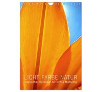 Licht Farbe Natur (Wandkalender 2026 DIN A4 hoch), CALVENDO Monatskalender: Poetischer Kalender für lichte Momente